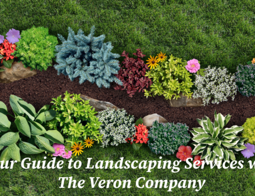 Your Guide to Landscaping Services with The Veron Company