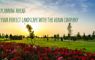 Your Perfect Landscape with The Veron Company