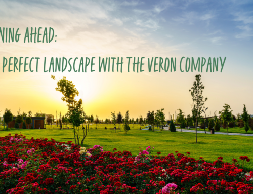 Planning Ahead: Your Perfect Landscape with The Veron Company