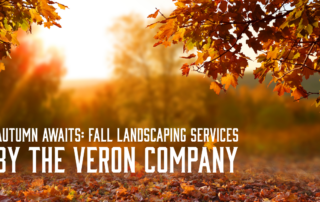 Fall Landscaping Services by The Veron Company