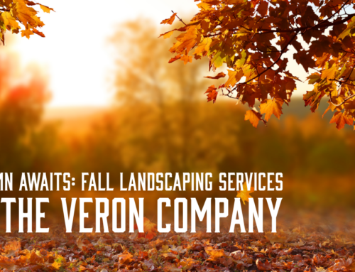 Autumn Awaits: Fall Landscaping Services by The Veron Company