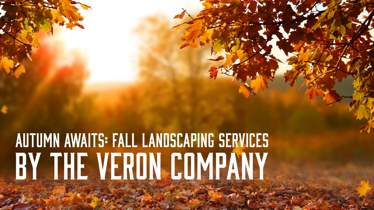 Fall Landscaping Services by The Veron Company