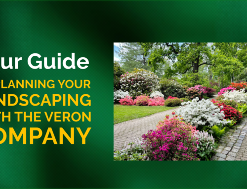 Your Guide to Planning Your Landscaping with The Veron Company