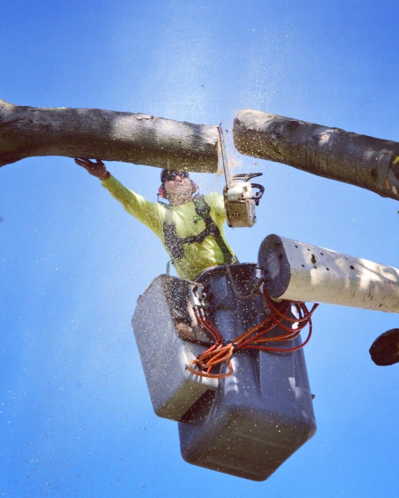 7393eff6-7632-49f3-89e3-a4496fd27853