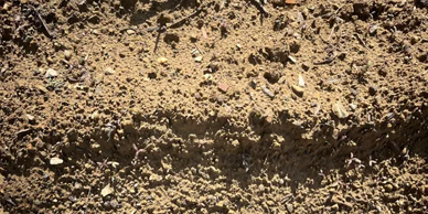 Contractors-Sandy-Loam