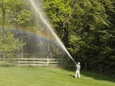 Winter moth control and spray in MA