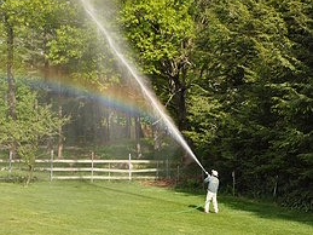 Winter Moth Control and Spray in MA