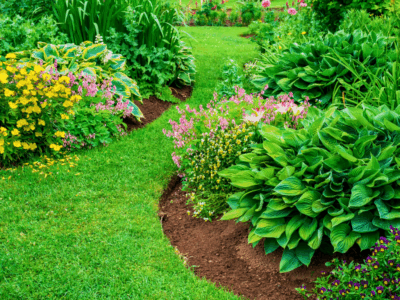 Bed weed and vegetation control in MA