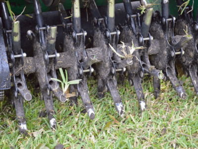 Lawn core aeration and overseeding company in MA