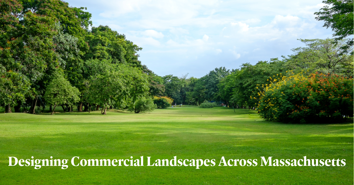 Designing Commercial Landscapes Across Massachusetts