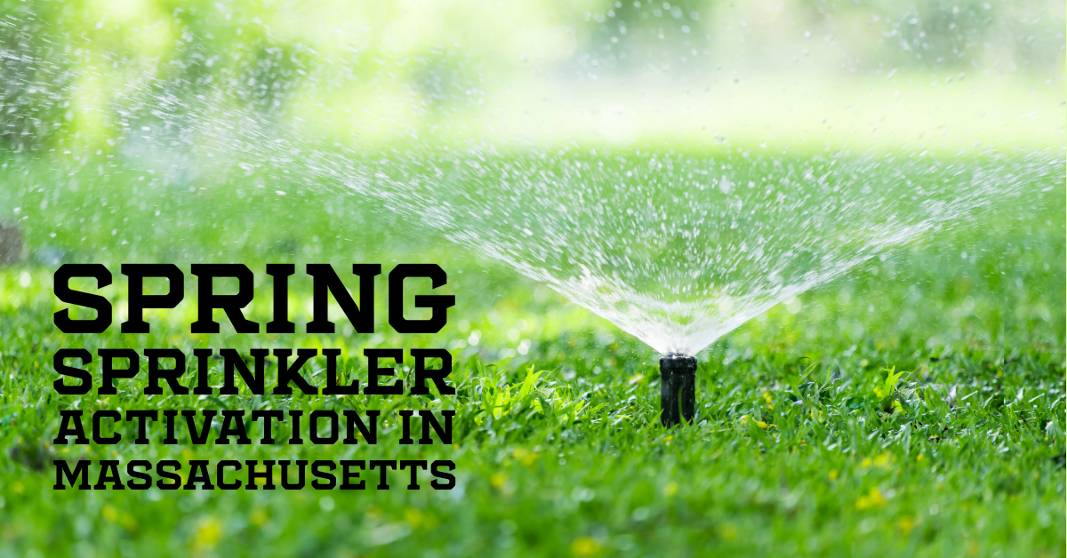 Spring Sprinkler Activation in Massachusetts